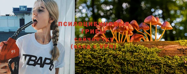 винт Алексеевка